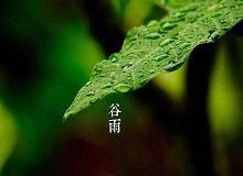《谷雨》過了清明，就是谷雨。村莊里，田野里，村路上，草木間，人家的院落里，人們的臉上，到處都是春天的閑意思了。[詳細]