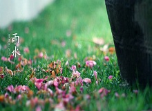 《雨水》轉眼就過了正月十五。芳村這地方，過了十五，才算是過了年。老輩子的風俗，十五看燈，十六游百病。[詳細]