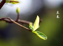 《立春》大年三十這一天，天難得放晴了。村子里到處明晃晃的，陽光映照著雪地，仿佛琉璃世界。[詳細]