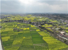 《家山》：生生不息的民族史詩(shī)　　在我的觀察當(dāng)中，很多傳統(tǒng)的鄉(xiāng)村社會(huì)的東西，現(xiàn)在還是保留著，傳統(tǒng)文化也保存得比較好……[詳細(xì)]